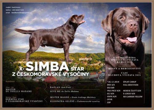 simba-kopie.jpeg